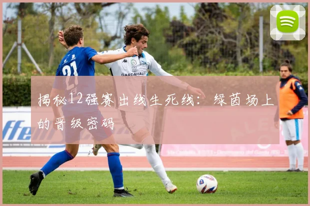 揭秘12强赛出线生死线：绿茵场上的晋级密码