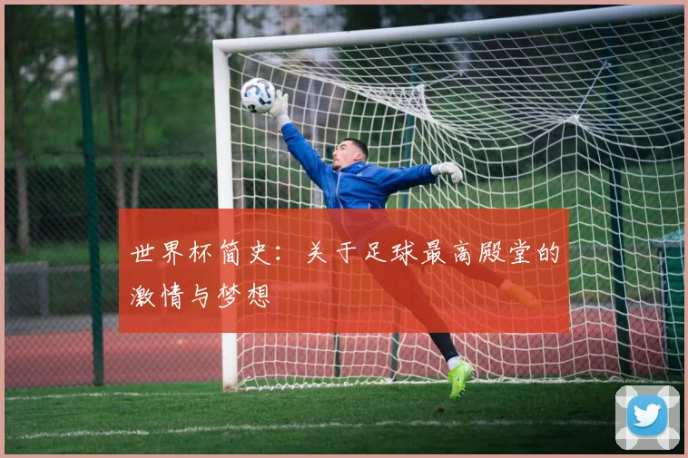 世界杯简史:关于足球最高殿堂的激情与梦想